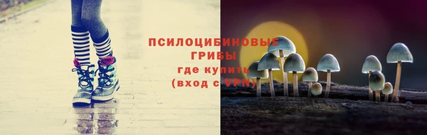 соль курить ск Алексеевка