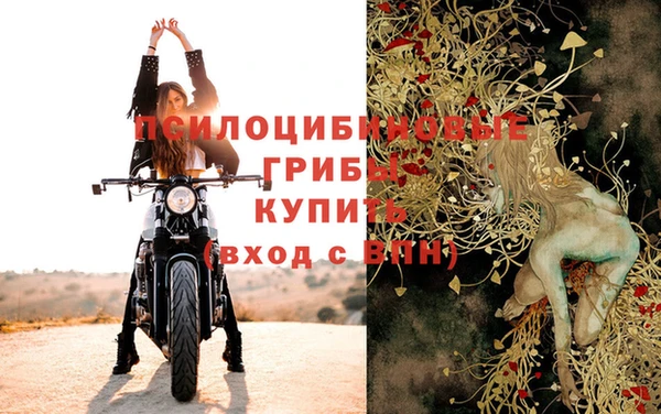 соль курить ск Алексеевка