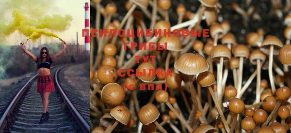 соль курить ск Алексеевка