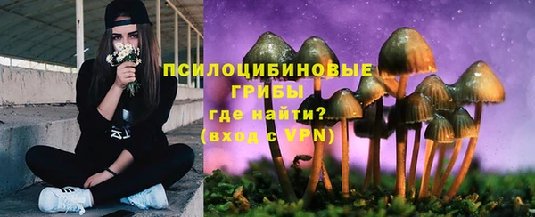 мескалин Алексин