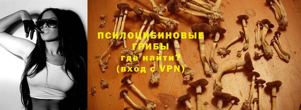 гидра Алзамай