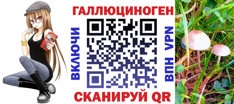 Псилоцибиновые грибы ЛСД Ревда
