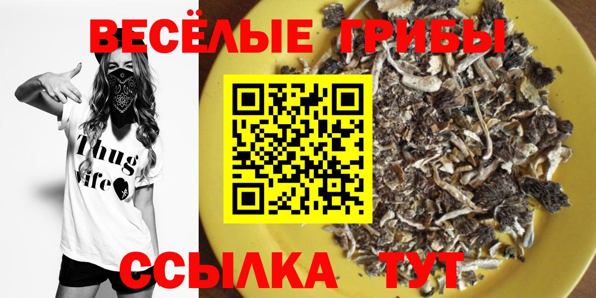 Псилоцибиновые грибы Cubensis Ревда